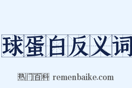 球蛋白反义词是什么意思的图片